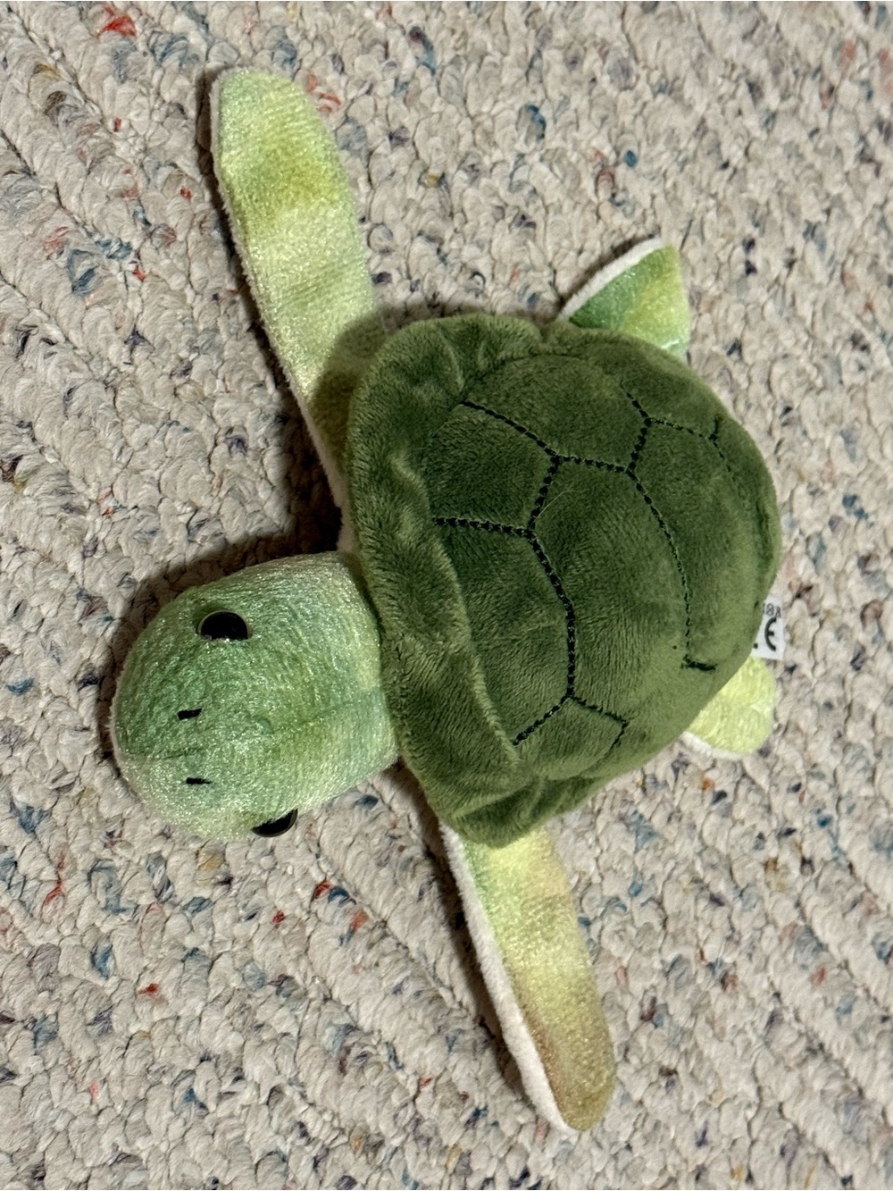 Green Plush Turtle Small Pet Toy slap bracelet by the petting zoo